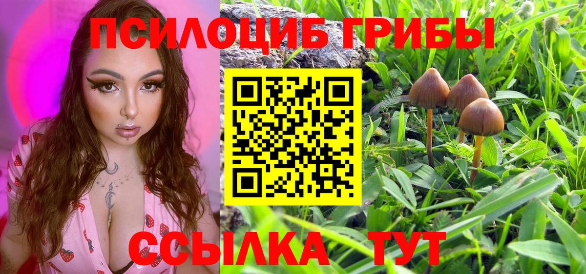 Псилоцибиновые грибы MAGIC MUSHROOMS Янаул